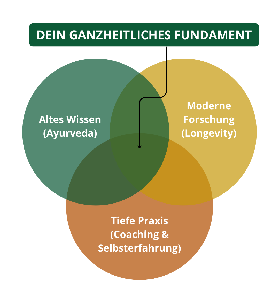 Venn Diagramm